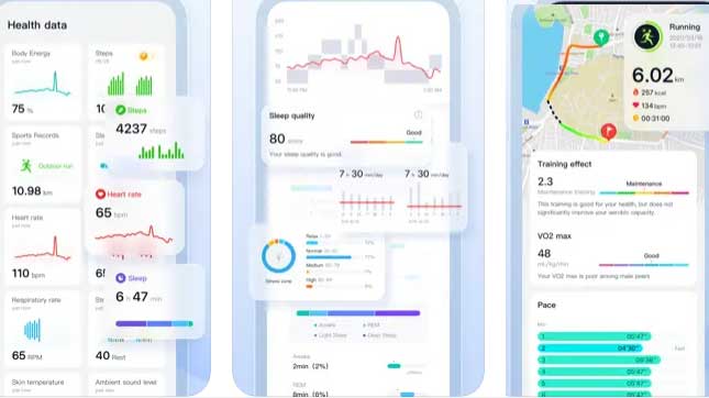 Veryfit-app-Problems